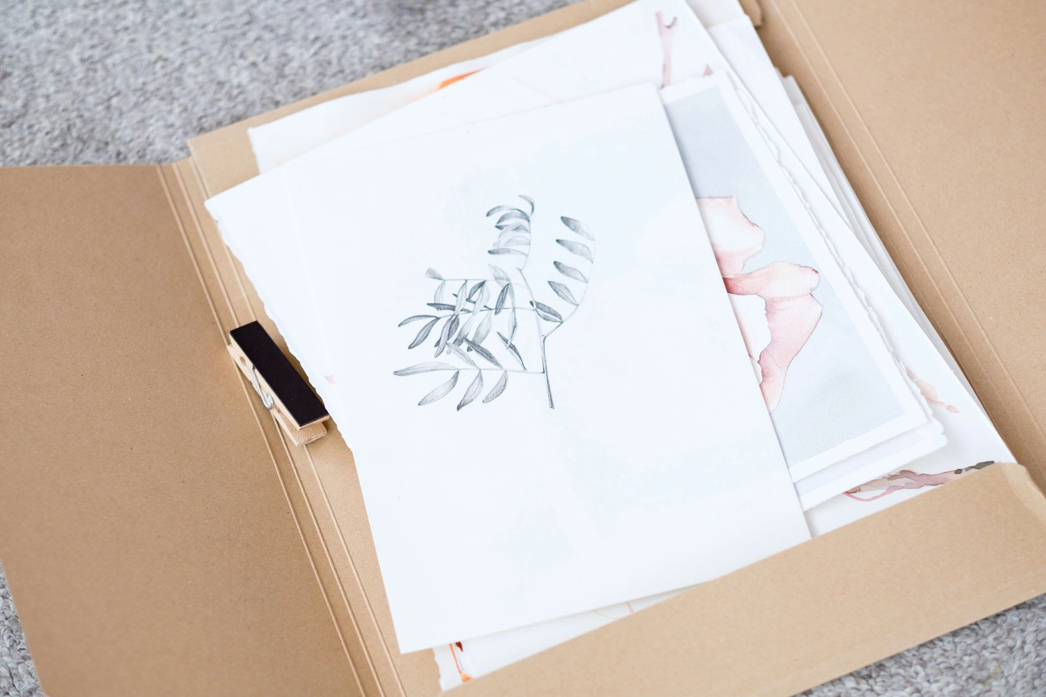 Student portfolio sheets with botanical artwork